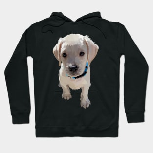 Lab Puppy 1 Hoodie